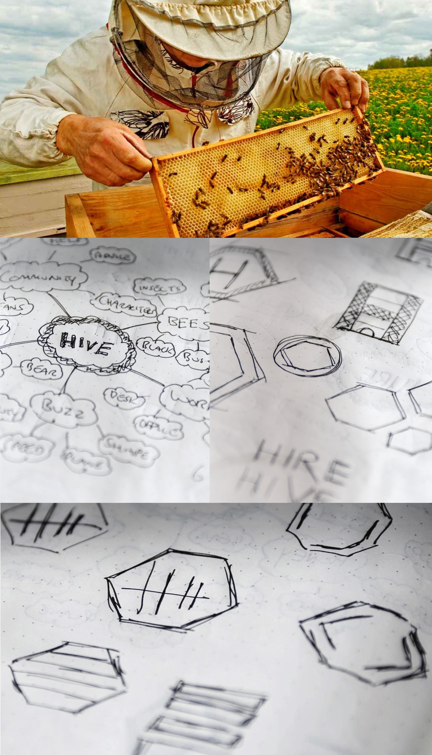 Initial bee sketch 1